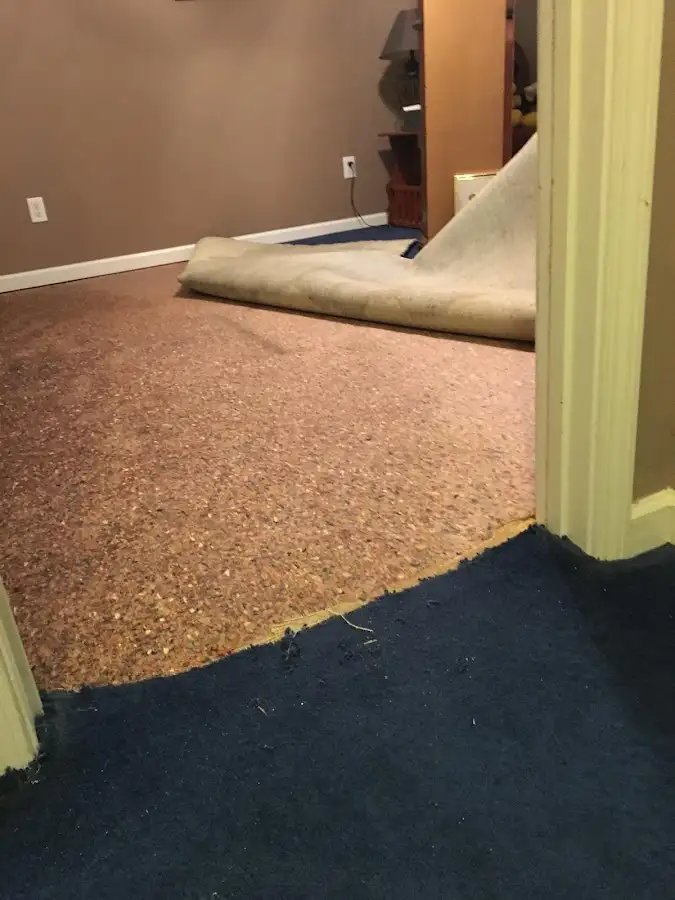 Carpet pad removal revealing water damage during Drying & Dehumidification in Staunton