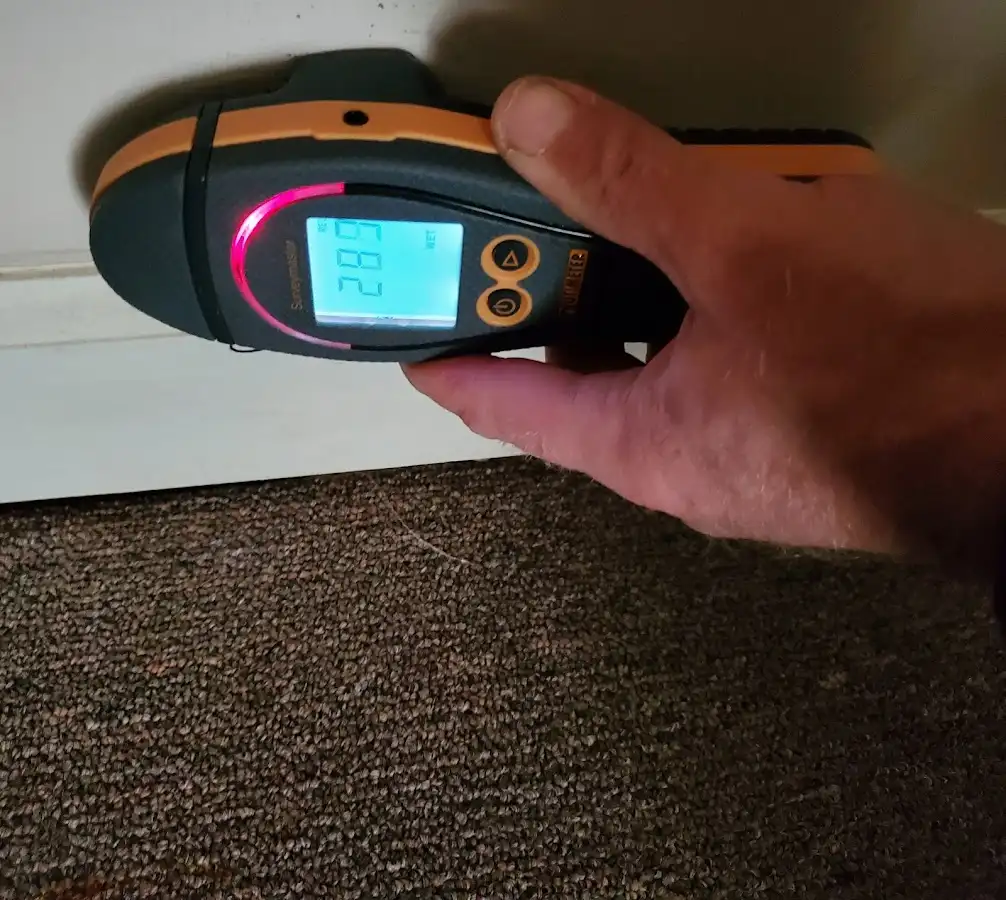 Moisture detection at baseboard during Burst Pipe Cleanup in Staunton